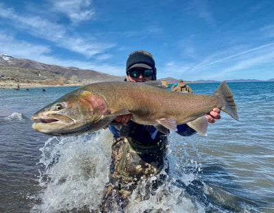 When They Roll, They Roll: A Pyramid Lake Story