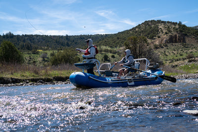 Reed's Fishing Outlook for June