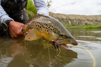 Reed's Fishing Outlook for August