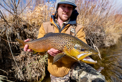 Harlan's Fishing Outlook for February