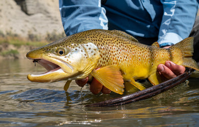 Fishing Outlook for September