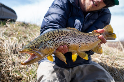 Fishing Outlook for May!
