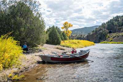 Harlan's Fishing Update for November