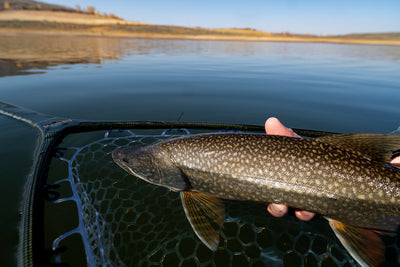 Harlan's Fishing Outlook for December