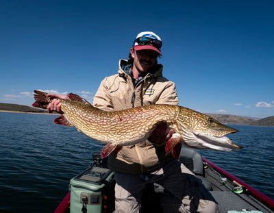FALL PIKE'N :: Alivoras