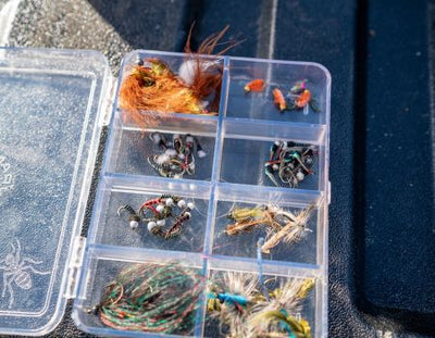FISHING OUTLOOK FOR MAY