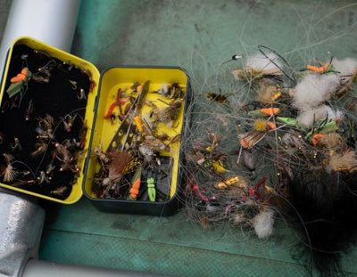 A GUIDE TO FLY ORGANIZATION