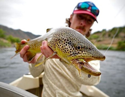 FIVE STREAMER FISHING MYTHS