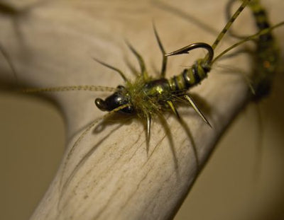 FLY TYING CONTEST!!!