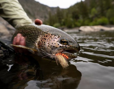 CATCHING THE HATCH WITH DAVIS MURANE