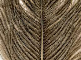Wapsi Ostrich Herl