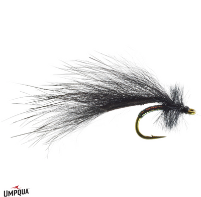 Mayer's Mini Leech