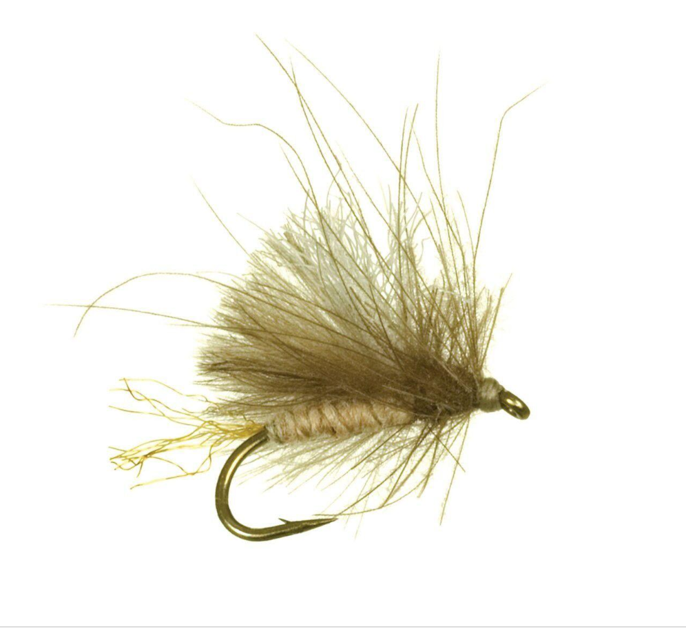 Corn Fed Caddis