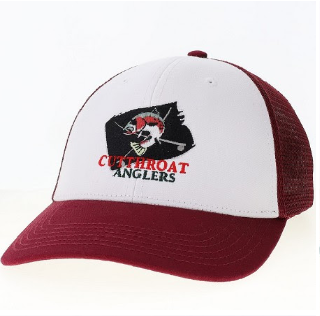 Legacy Lo-Pro Snapback Alivoras Logo Hat