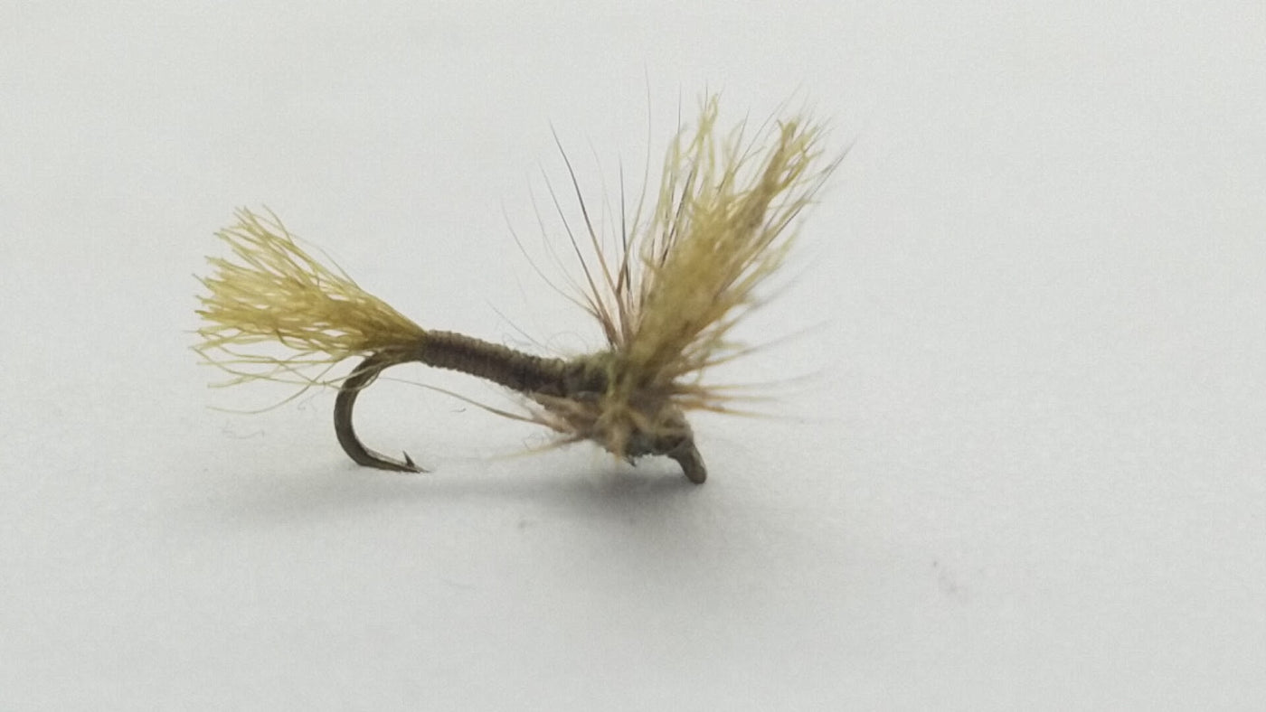 IMP Sparkle Dun Olive Size 20