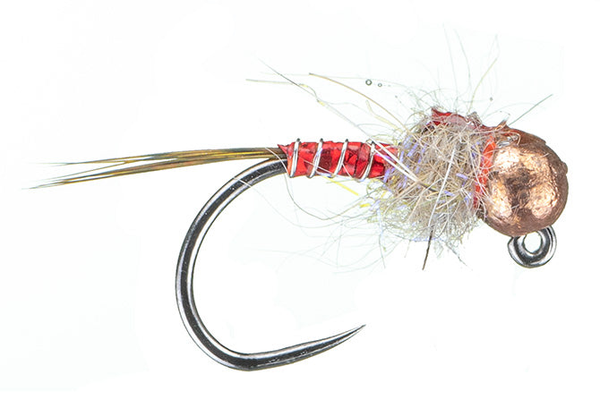 Allen’s Thunder Bug