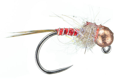 Allen’s Thunder Bug