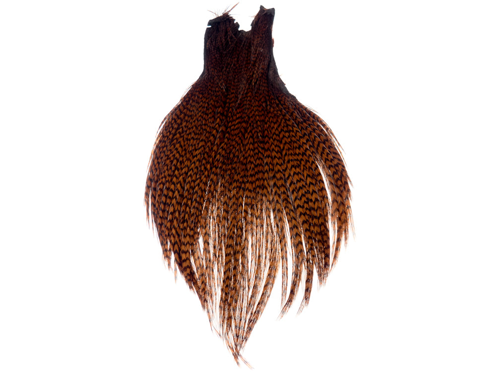Ewing Neck Tip Dry Fly Hackle