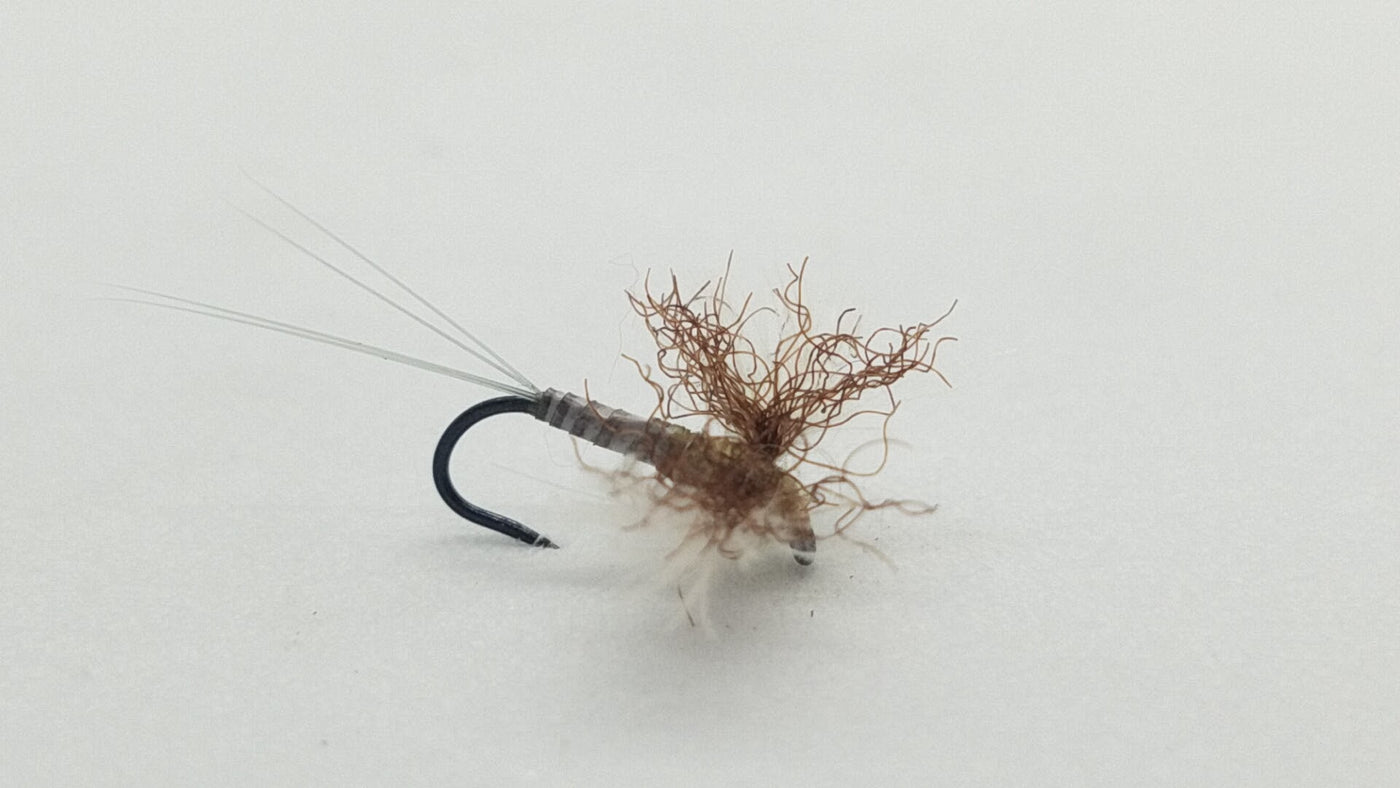 CDC Biot Spinner Callibaetis Size 16
