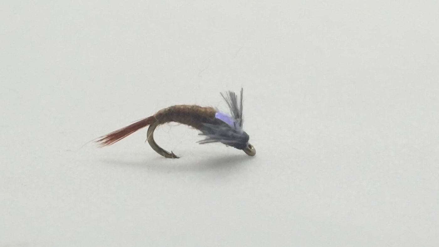 Barr’s BWO Flashback Emerger