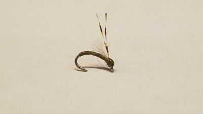 Dailey's Tailwater Assassin