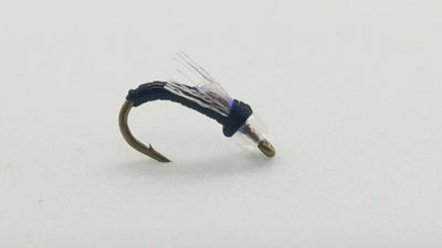 Flash Bang Midge