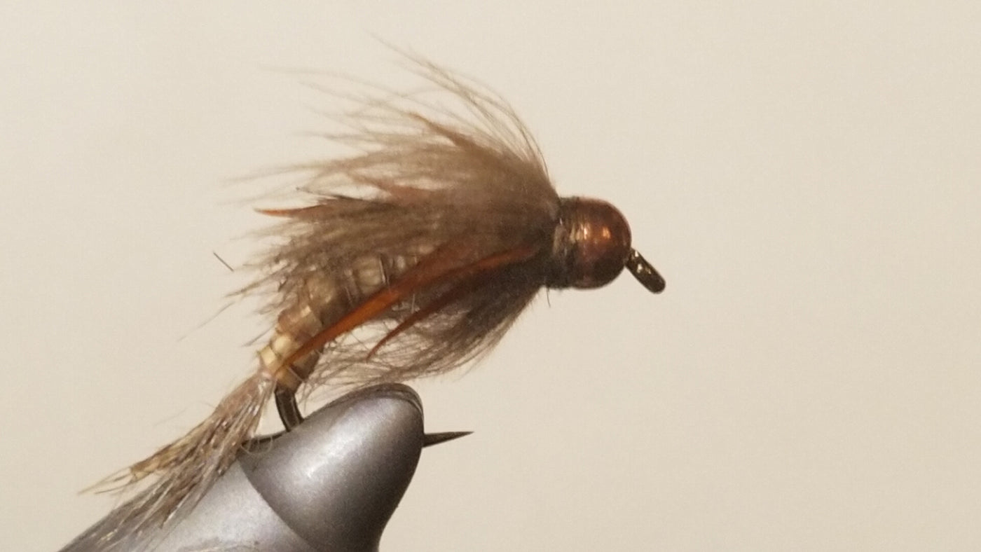 TDJ Tungsten Golden