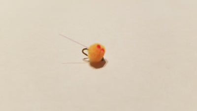 Eggs