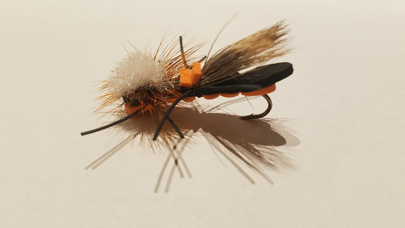 Fuzzy Wuzzy