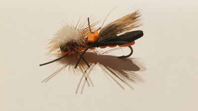 Fuzzy Wuzzy