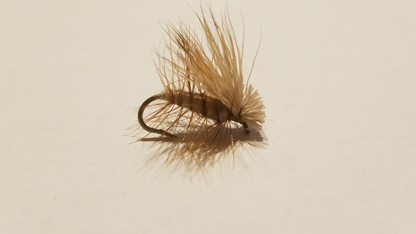 Elk Hair Caddis
