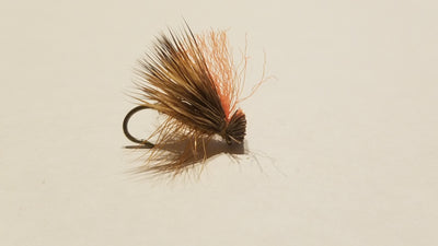 Elk Hair Caddis