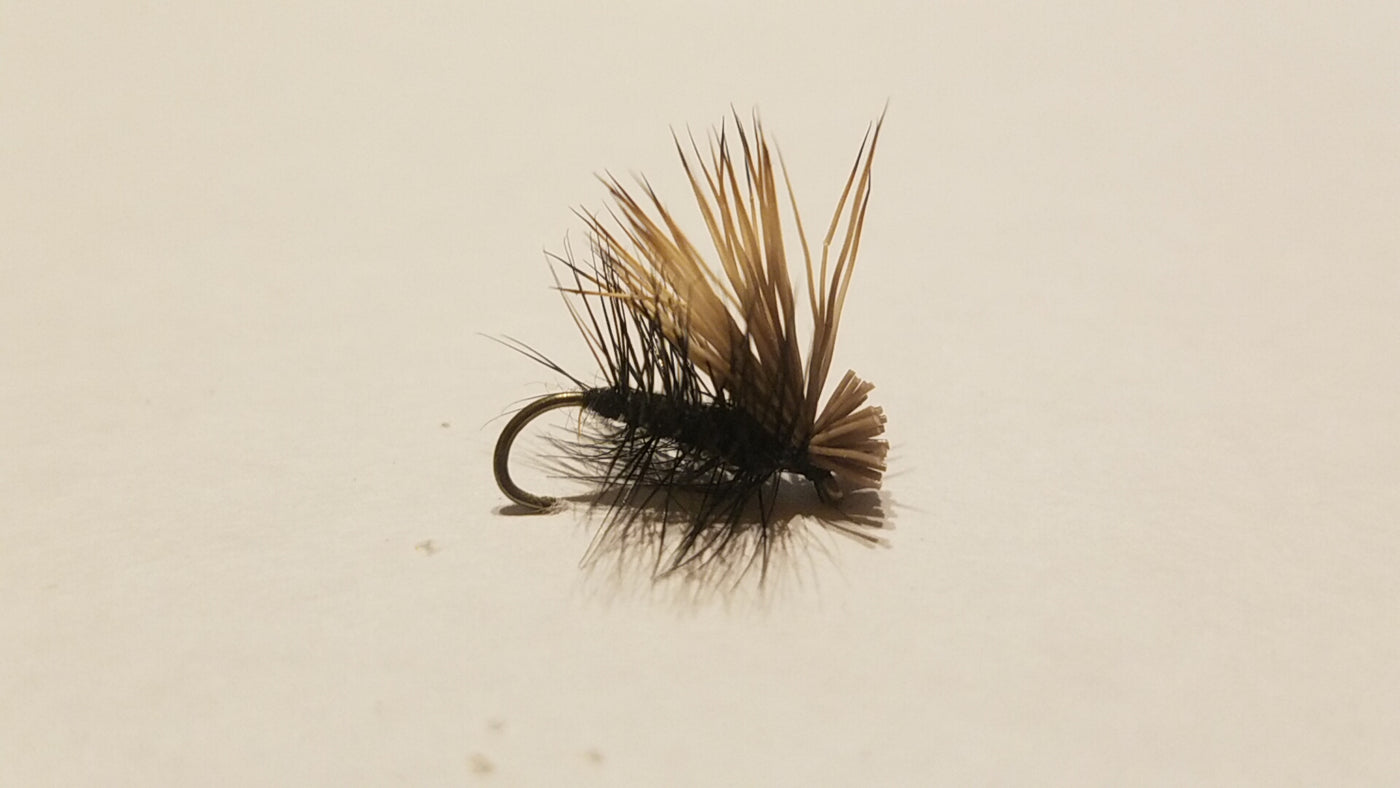 Elk Hair Caddis