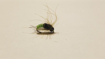Charlie's Chronic Caddis