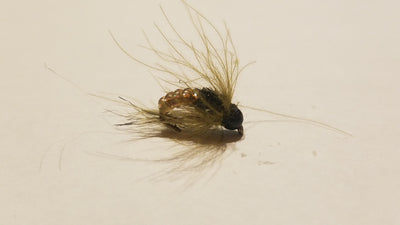 Charlie's Chronic Caddis