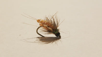Nitro Caddis Pupa