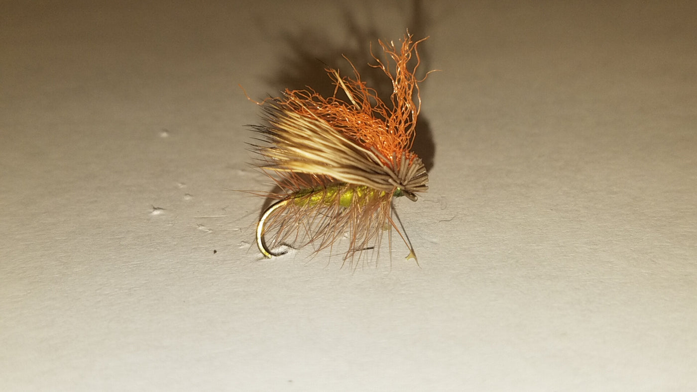 Elk Hair Caddis