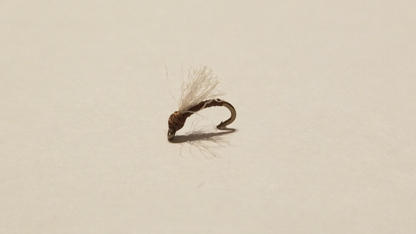 Tid Bit Midge Brown