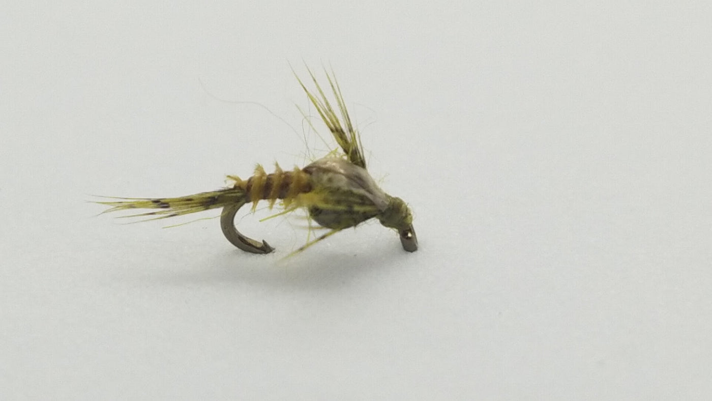 Beadhead Thorax BWO Emerger