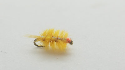 Ray Charles Sowbug