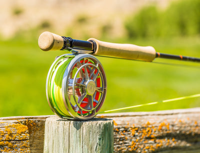 Ross Evolution R Reel