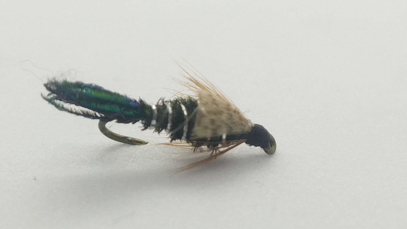 Zug Bug