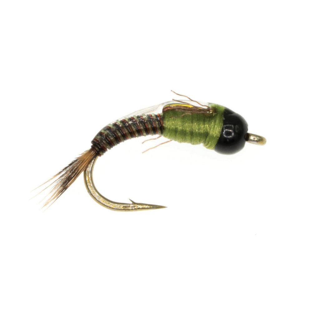 Tungsten Juju Baetis