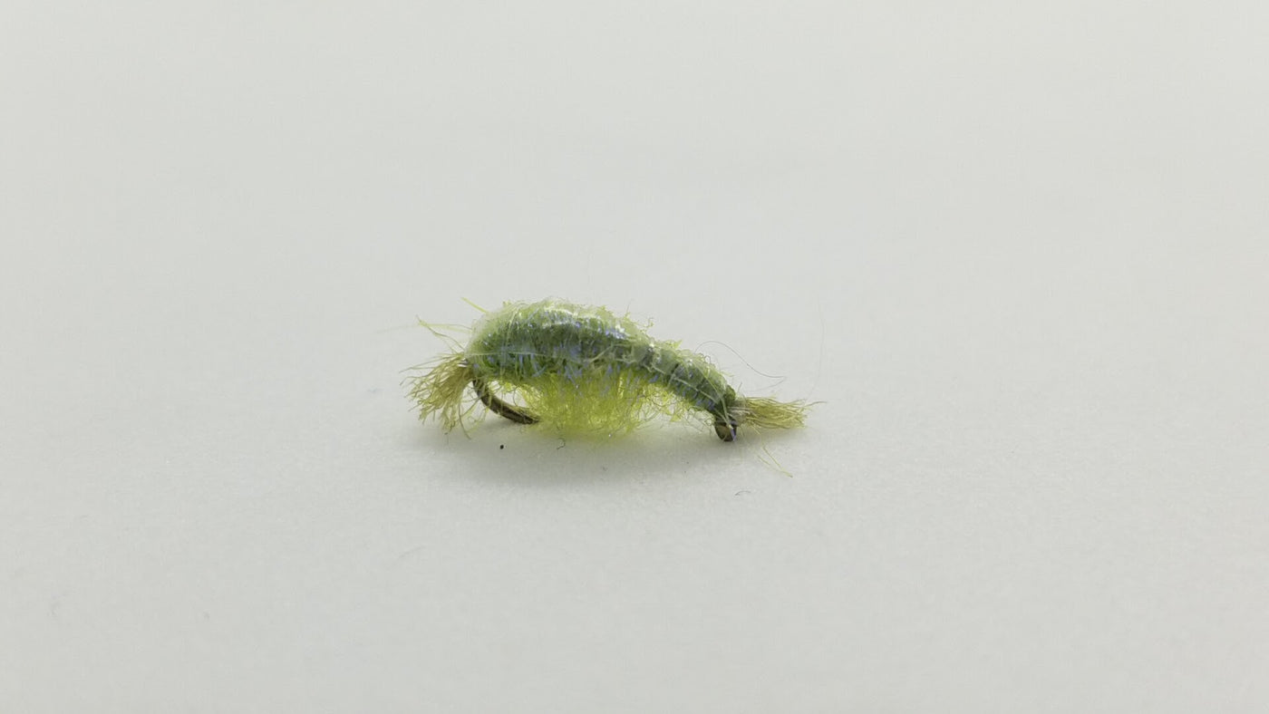 Dorsey’s UV Scud