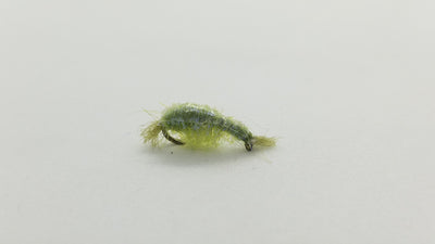 Dorsey’s UV Scud