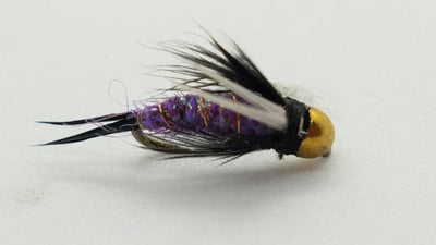 Tungsten Prince Nymph