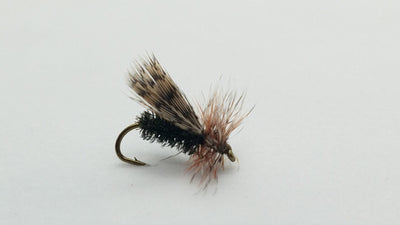 Spent Partridge Caddis, Sz 16