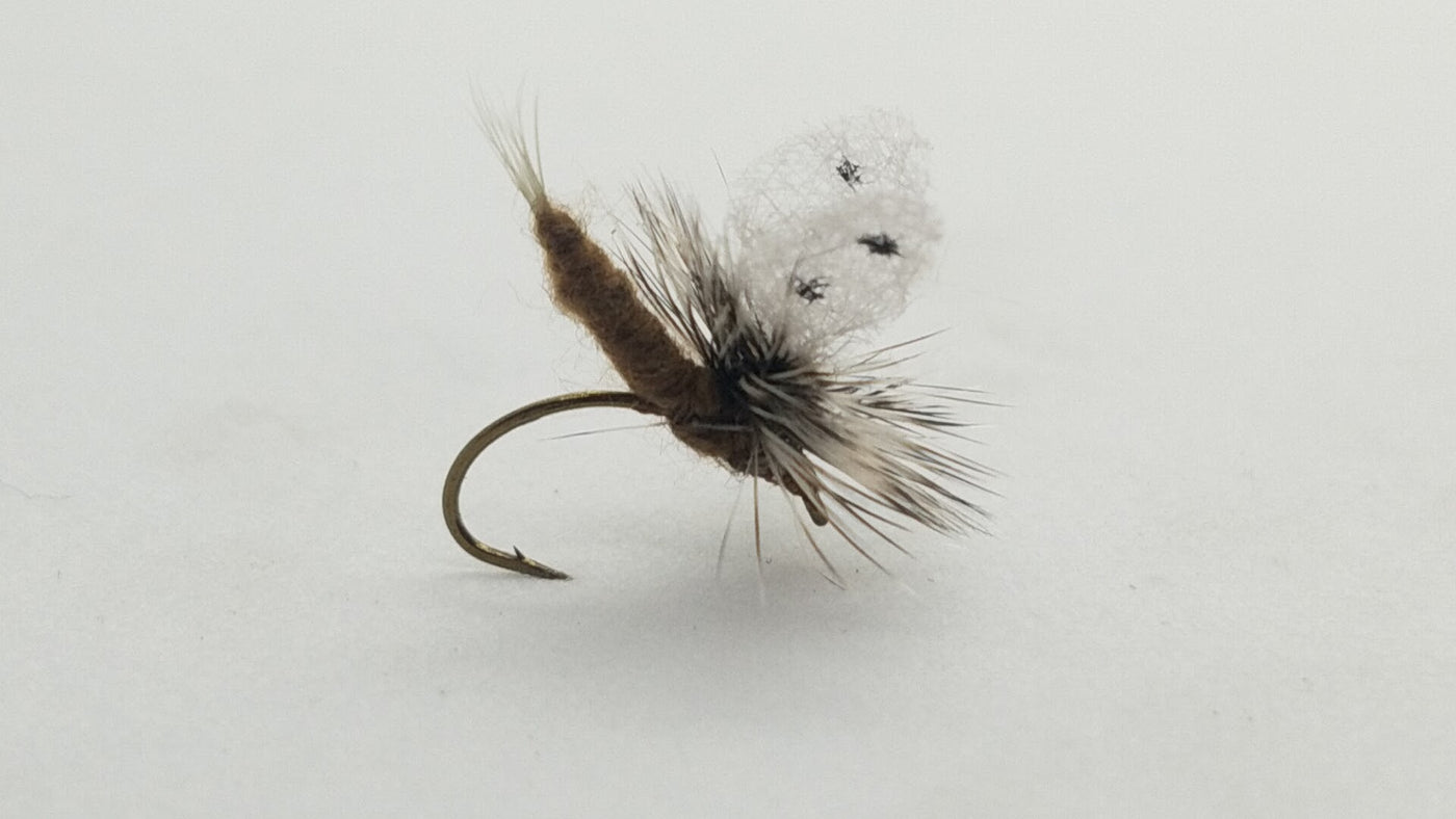 Callibaetis Extended Body