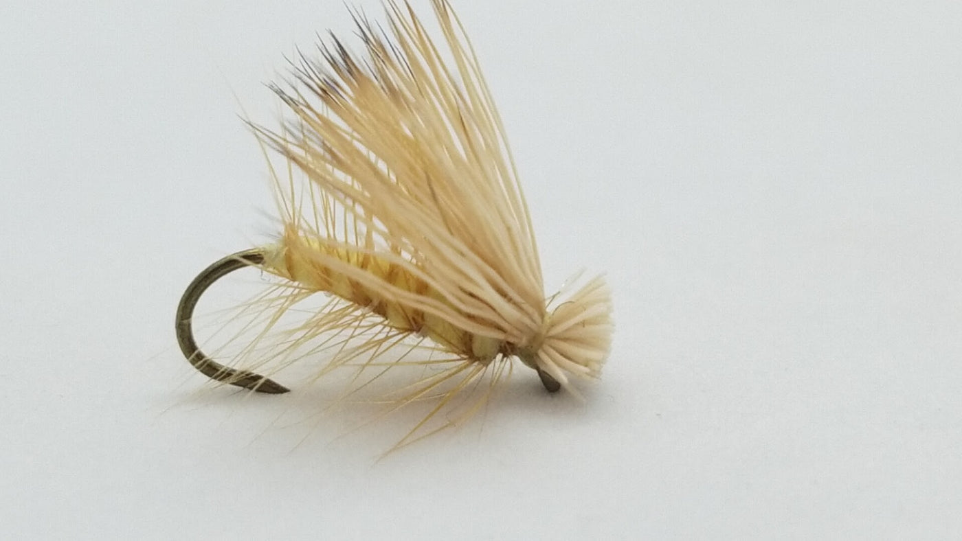 Rainy’s Caddis