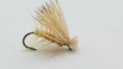 Rainy’s Caddis
